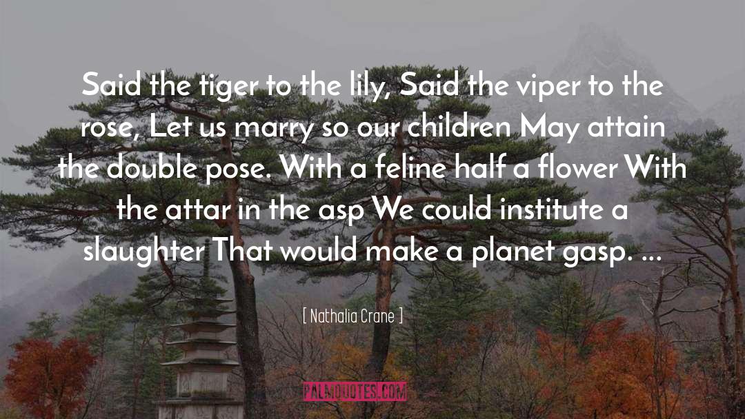 The Tiger quotes by Nathalia Crane