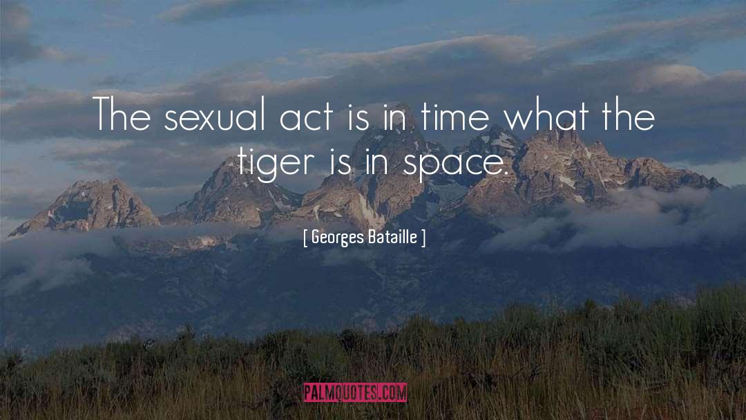 The Tiger quotes by Georges Bataille
