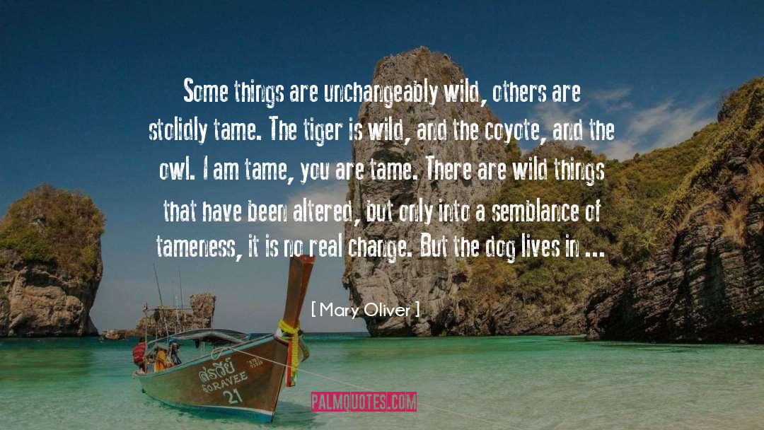 The Tiger quotes by Mary Oliver