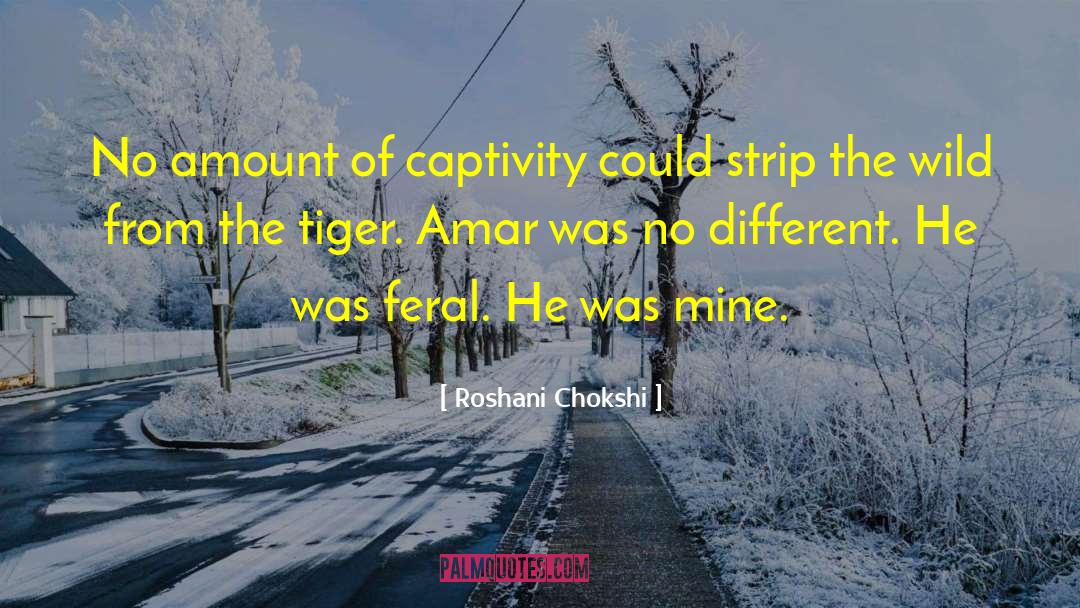 The Tiger S Bride quotes by Roshani Chokshi