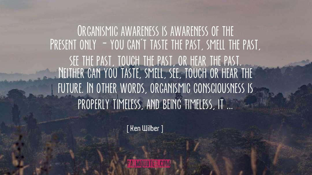 The Timeless Ones quotes by Ken Wilber
