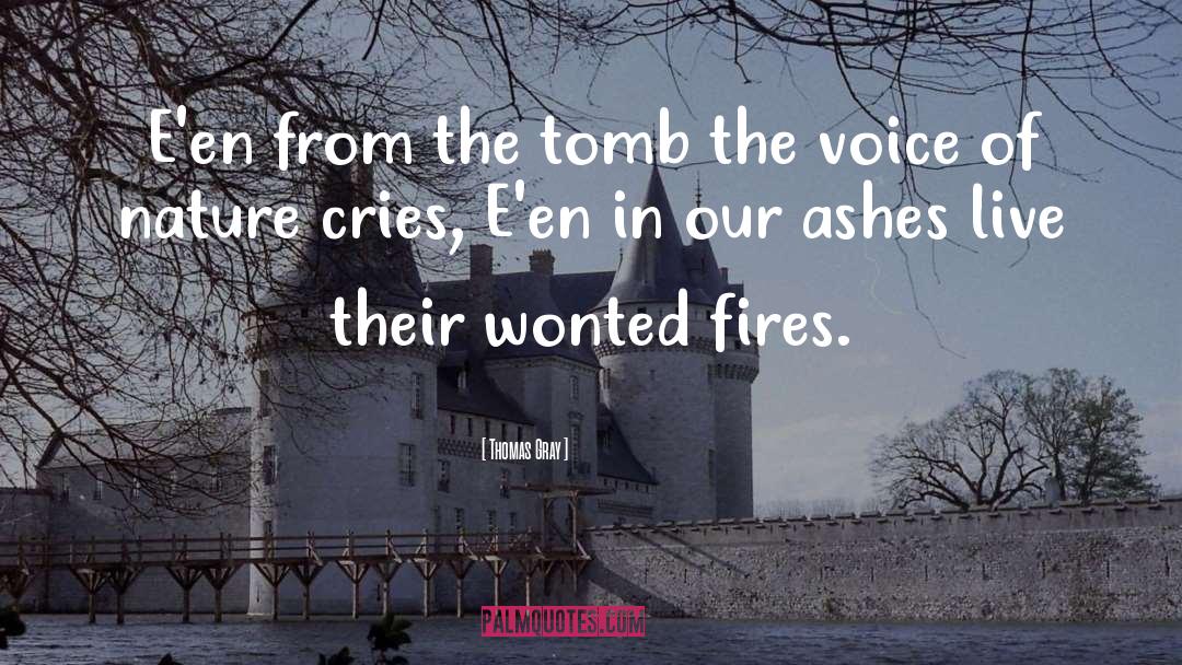 The Tomb quotes by Thomas Gray