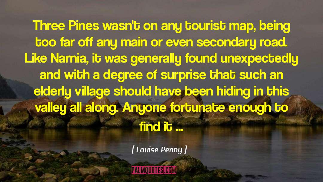 The Tourist quotes by Louise Penny