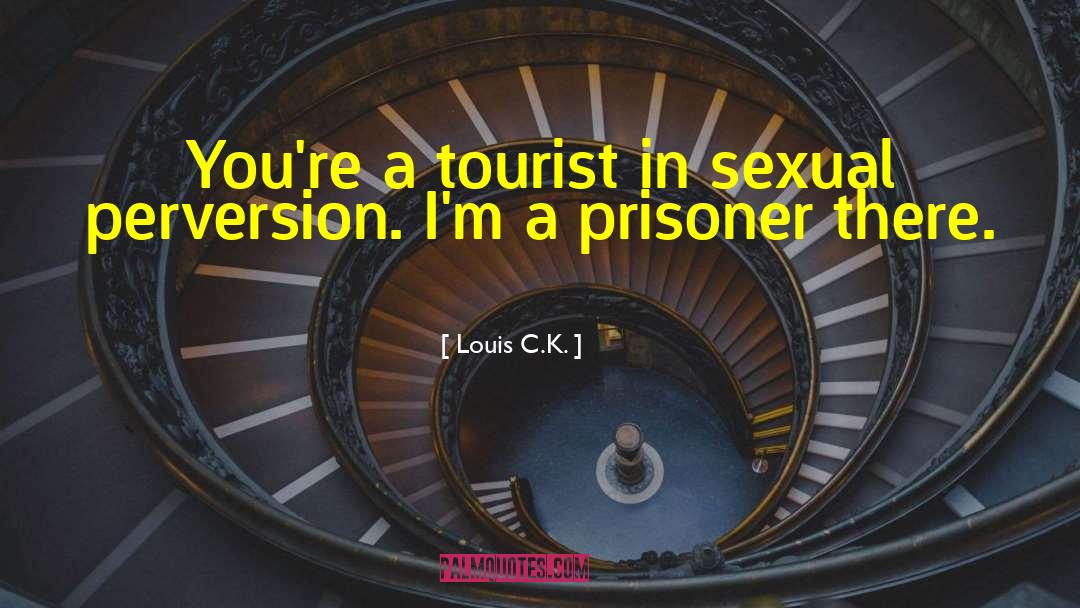The Tourist quotes by Louis C.K.