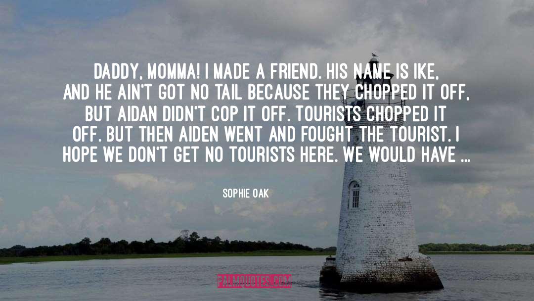 The Tourist quotes by Sophie Oak