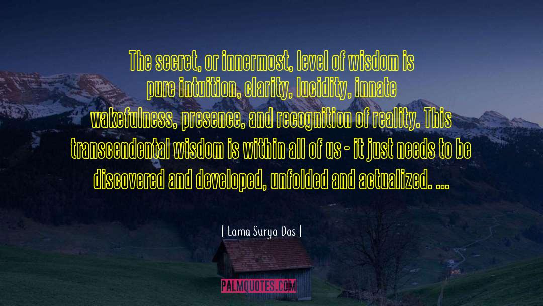 The Transcendental Subject quotes by Lama Surya Das