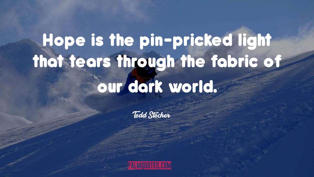 The True Fabric Of Our Soul quotes by Todd Stocker