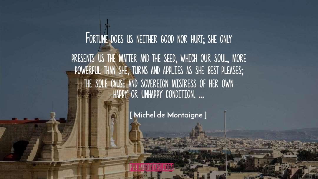 The True Fabric Of Our Soul quotes by Michel De Montaigne