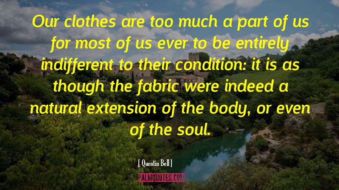 The True Fabric Of Our Soul quotes by Quentin Bell