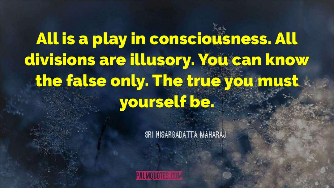 The True You quotes by Sri Nisargadatta Maharaj