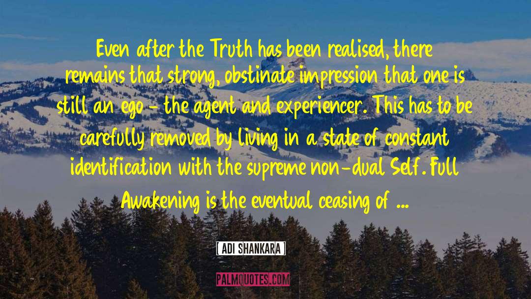 The Truth Is Dead quotes by Adi Shankara
