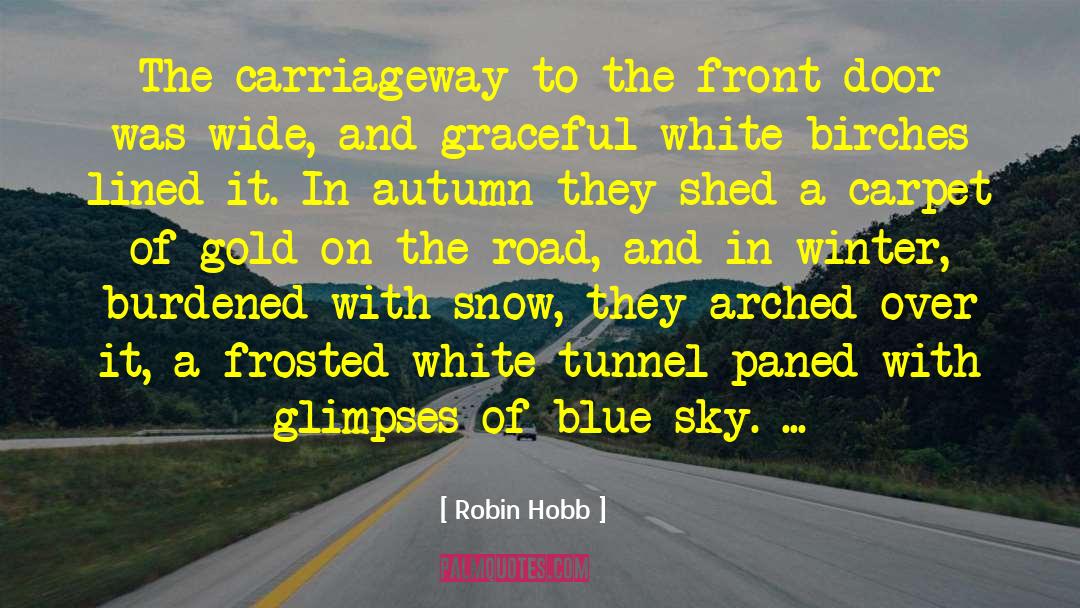 The Tunnel In Electric Lit quotes by Robin Hobb