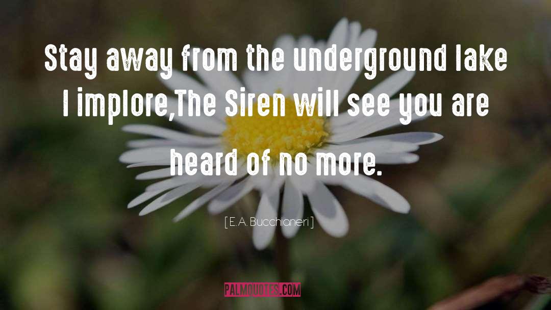 The Underground quotes by E.A. Bucchianeri