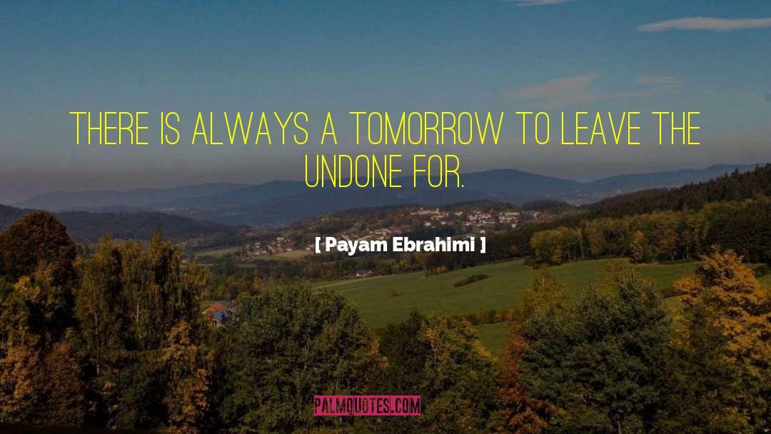 The Undone quotes by Payam Ebrahimi