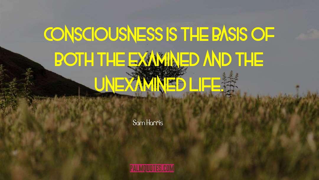 The Unexamined Life quotes by Sam Harris
