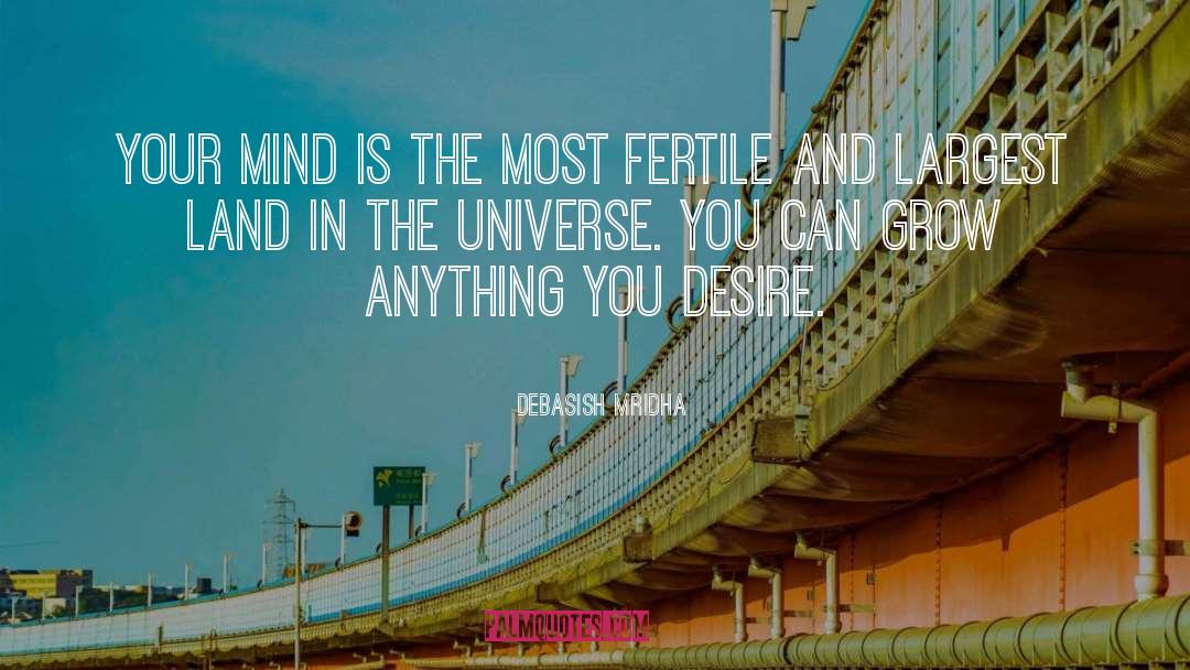 The Universe quotes by Debasish Mridha