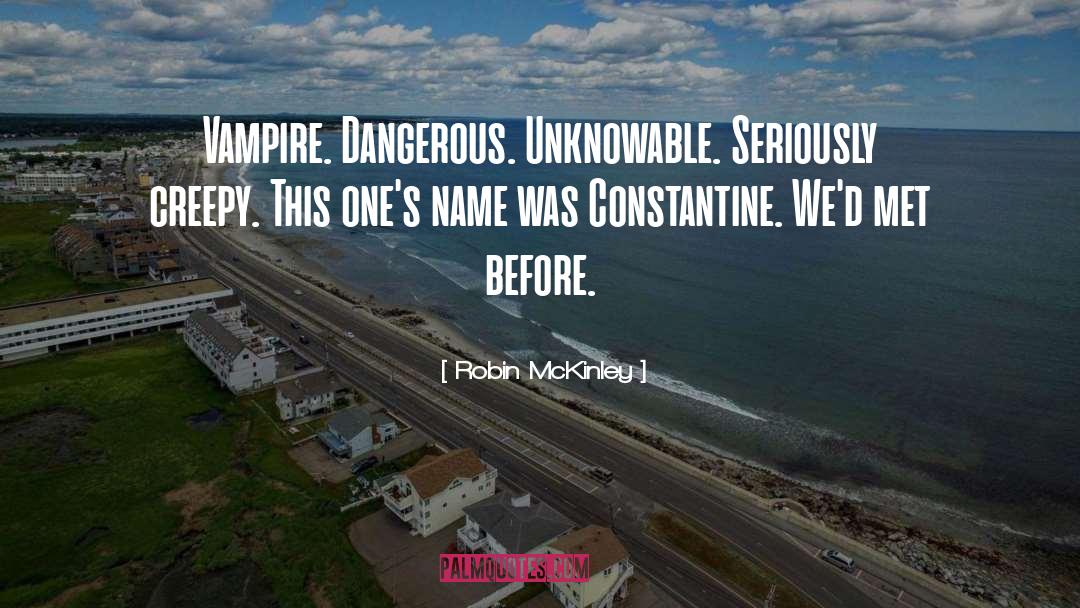 The Unknowable quotes by Robin McKinley
