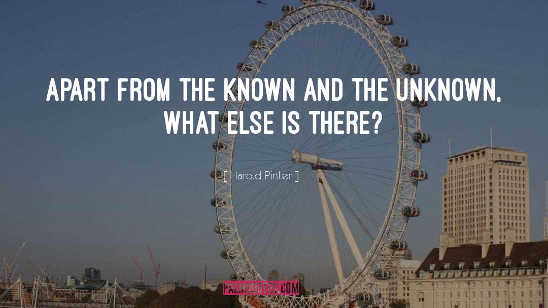 The Unknown quotes by Harold Pinter