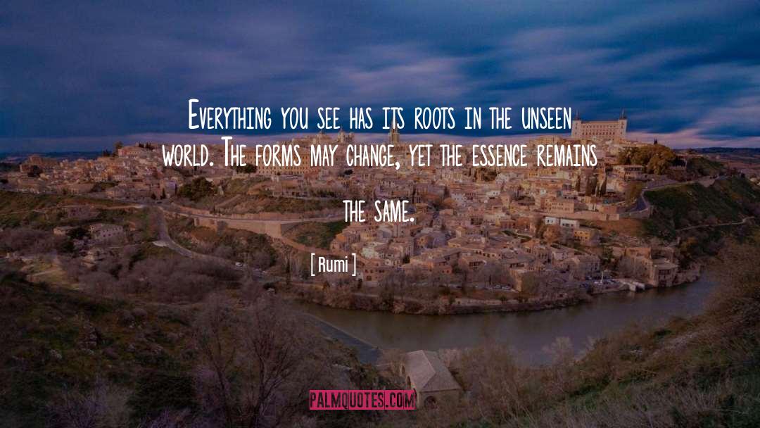 The Unseen quotes by Rumi