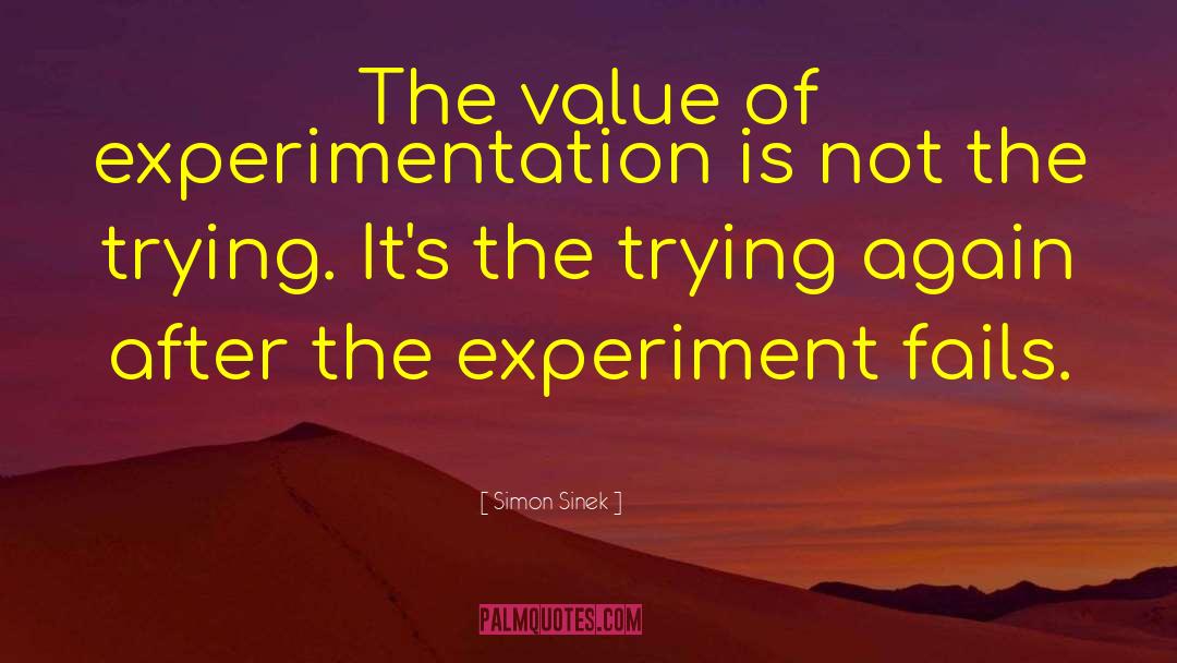 The Value Of Life quotes by Simon Sinek