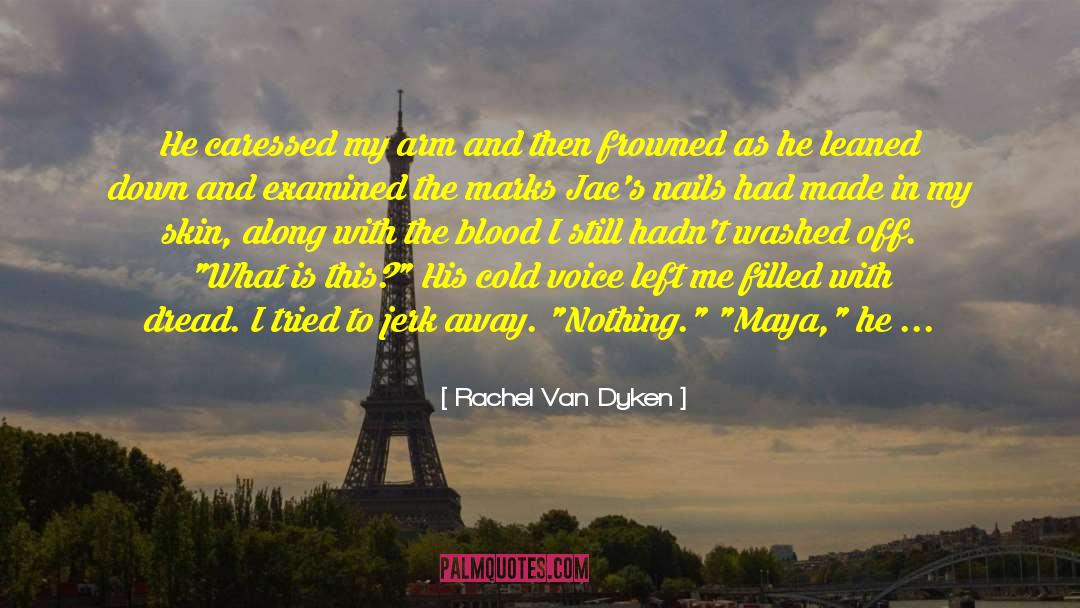 The Van Alen Legacy quotes by Rachel Van Dyken