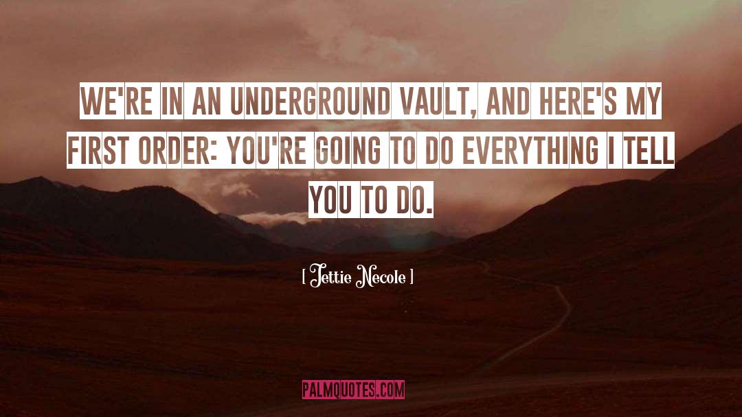 The Vault quotes by Jettie Necole