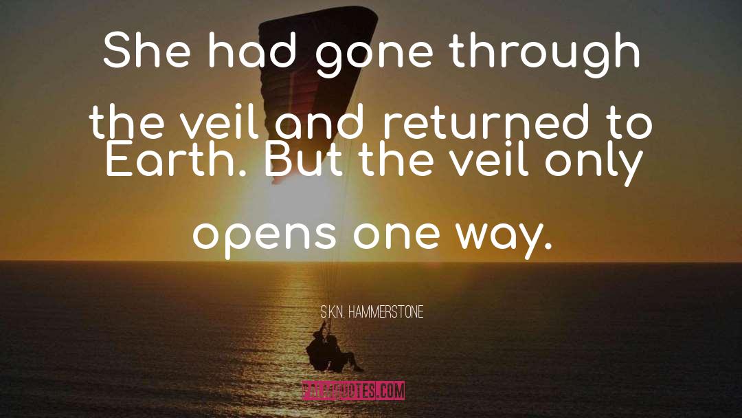 The Veil quotes by S.K.N. Hammerstone