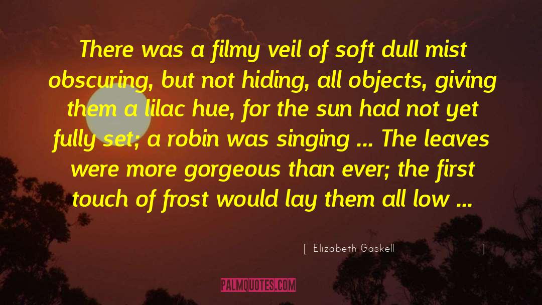 The Veil Series quotes by Elizabeth Gaskell