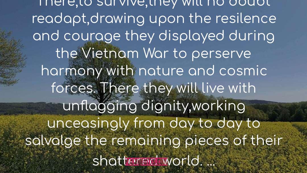 The Vietnam War quotes by Gerald Hickey