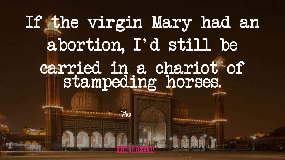 The Virgin Mary quotes by Nas