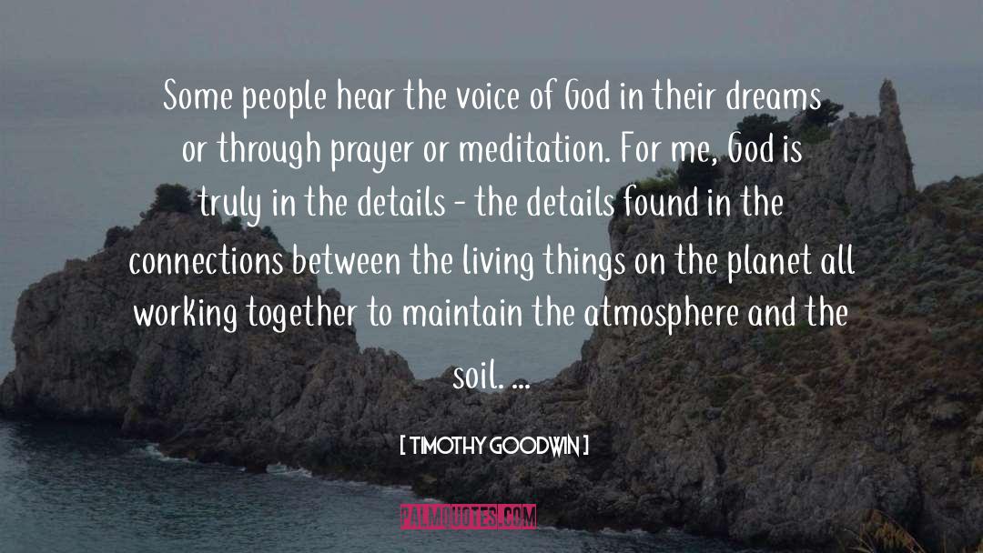 The Voice Of God quotes by Timothy Goodwin