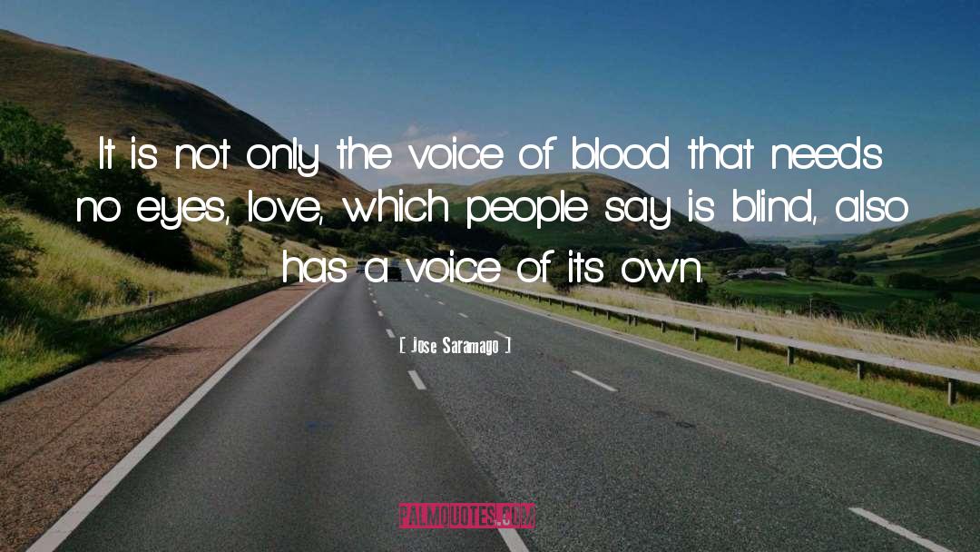 The Voice quotes by Jose Saramago