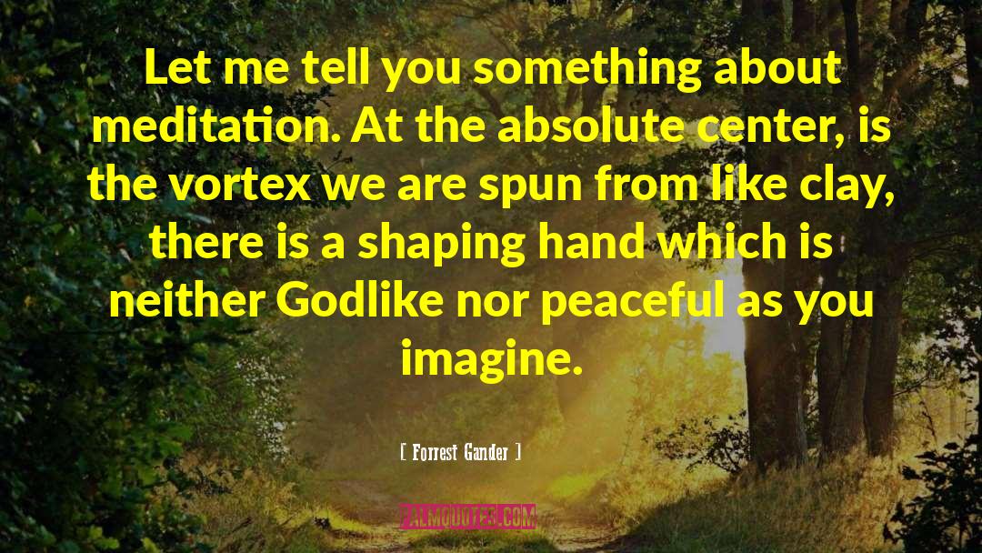 The Vortex quotes by Forrest Gander