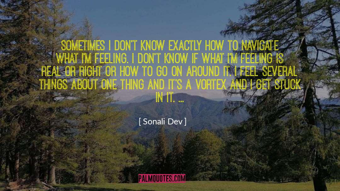 The Vortex quotes by Sonali Dev