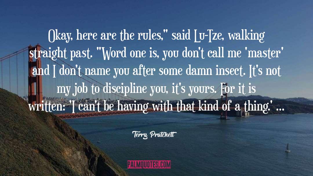 The Walking Drum quotes by Terry Pratchett
