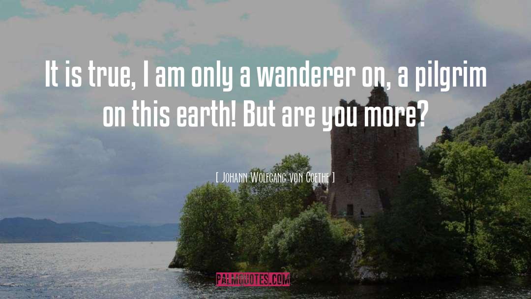 The Wanderer quotes by Johann Wolfgang Von Goethe
