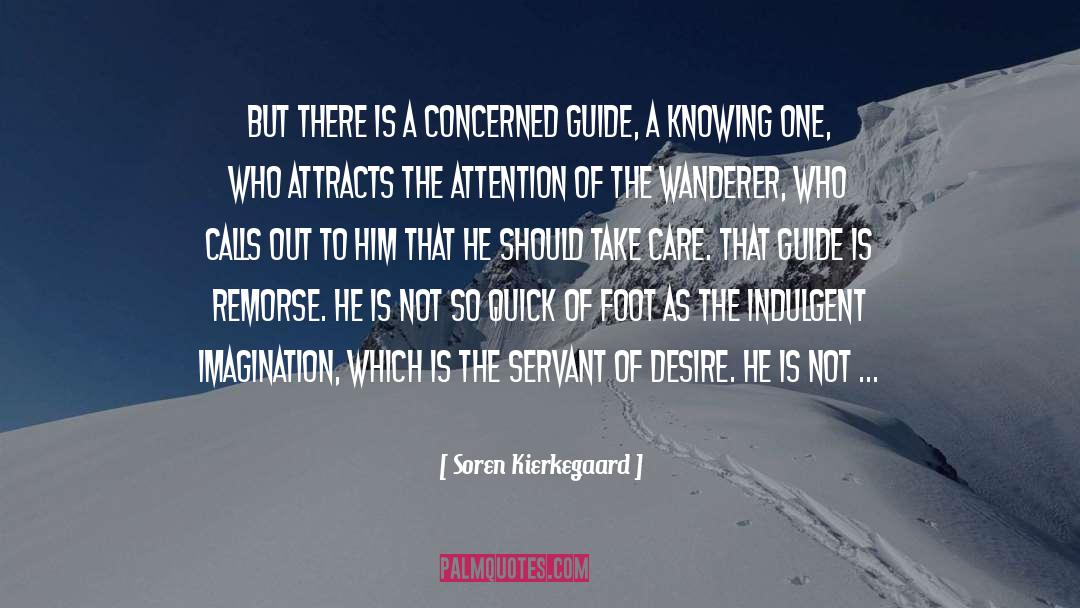The Wanderer quotes by Soren Kierkegaard