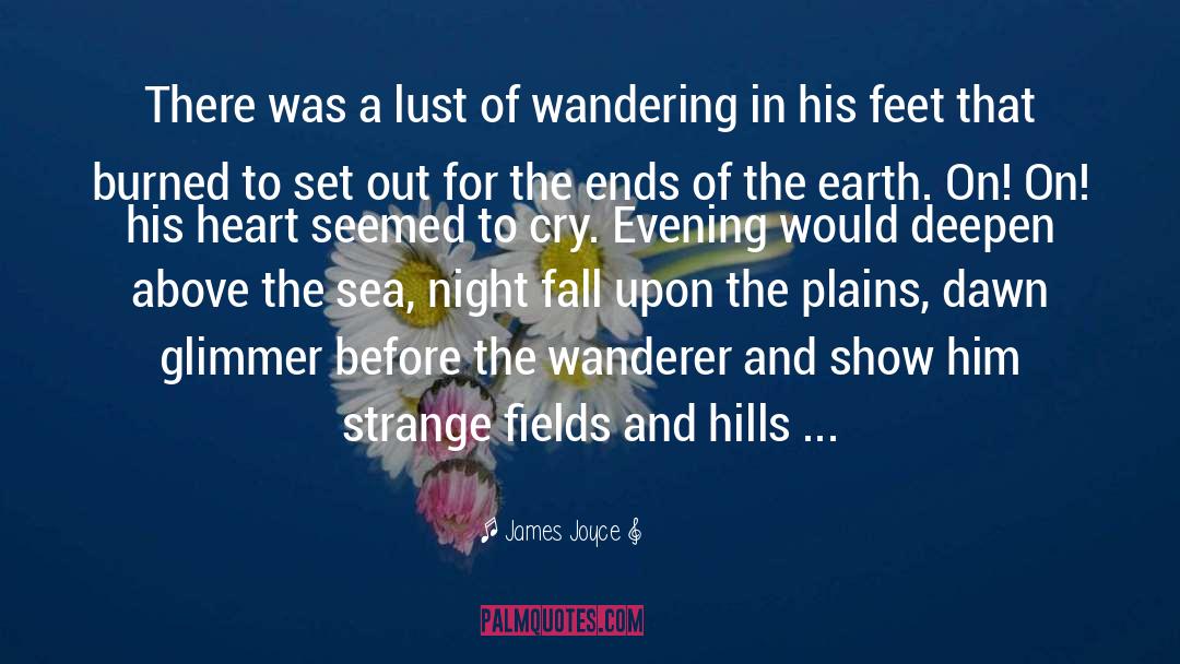 The Wanderer quotes by James Joyce