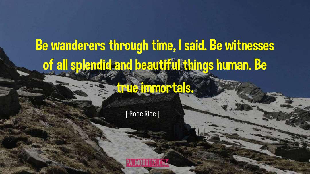 The Wanderers quotes by Anne Rice