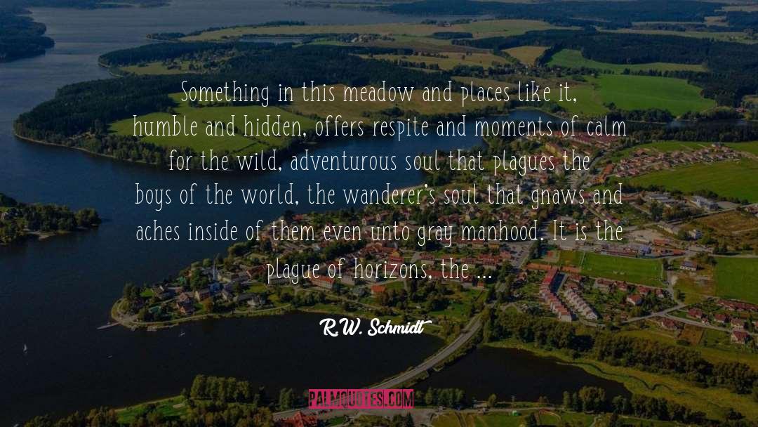 The Wanderers quotes by R.W. Schmidt