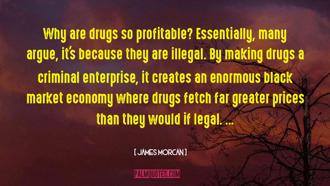 The War On Drugs quotes by James Morcan