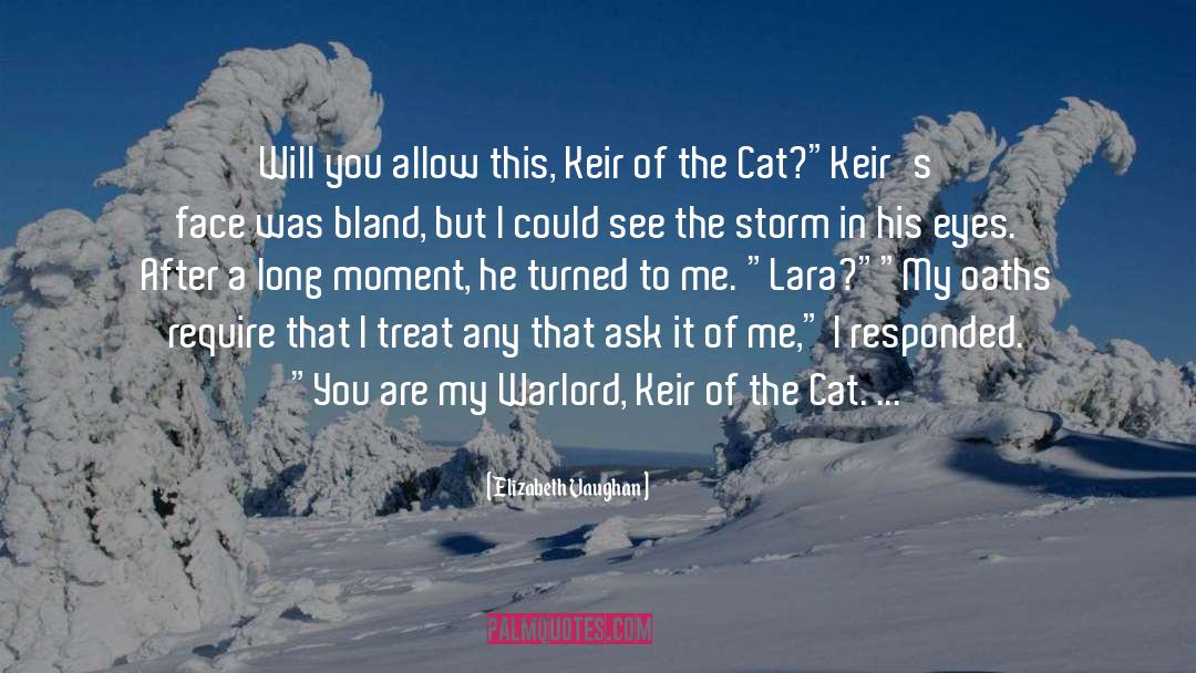 The Warlord Wants Forever quotes by Elizabeth Vaughan