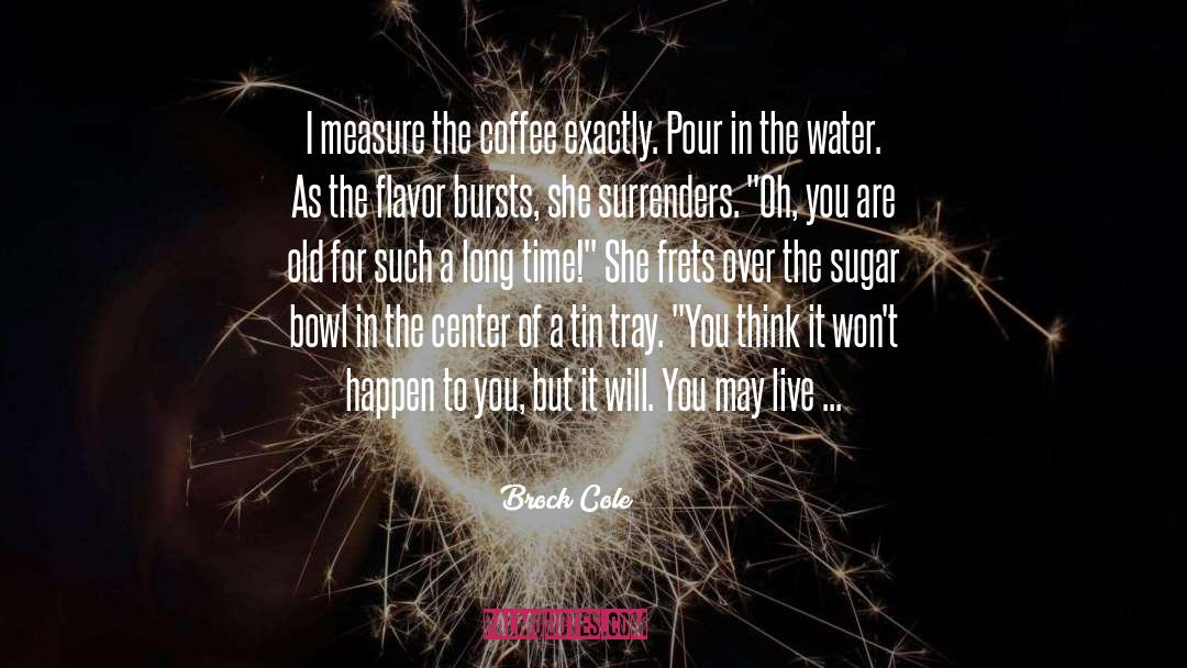 The Water Cure quotes by Brock Cole