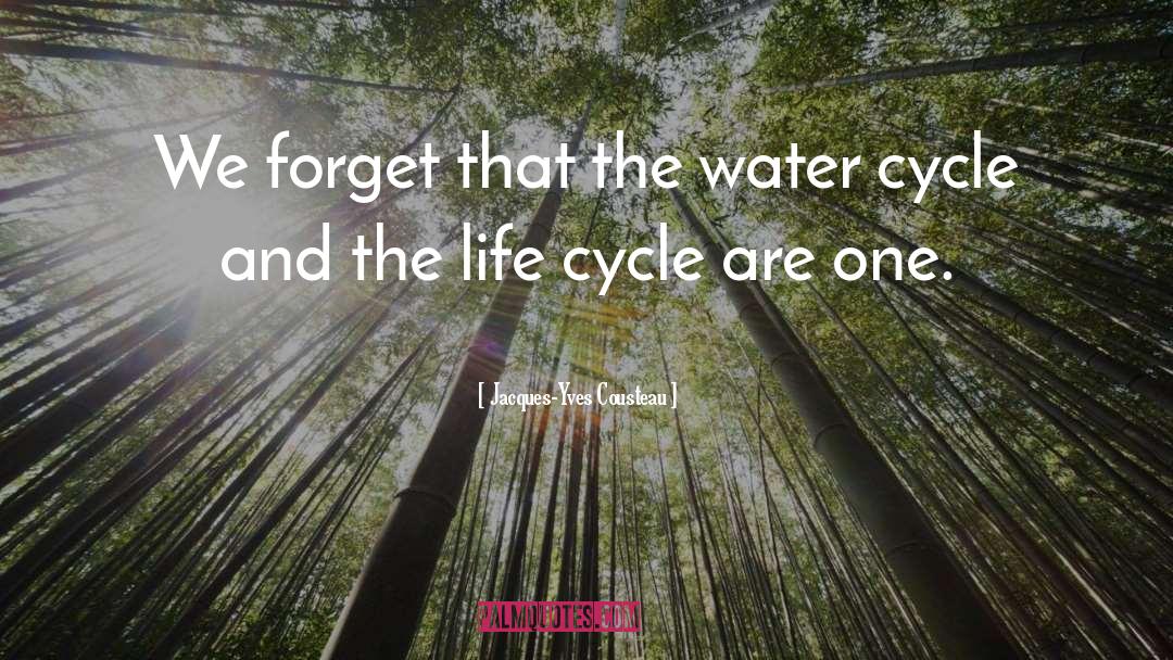 The Water Cycle quotes by Jacques-Yves Cousteau