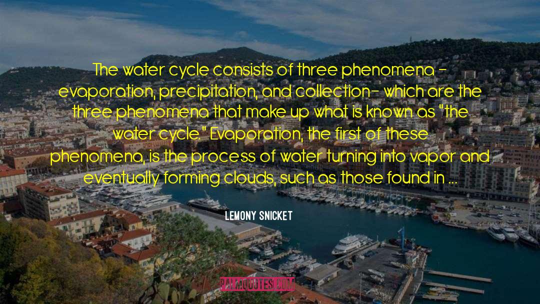 The Water Cycle quotes by Lemony Snicket