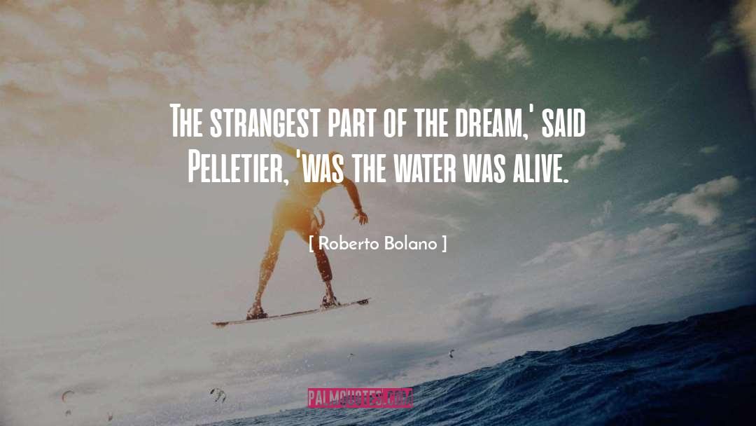 The Water Was quotes by Roberto Bolano