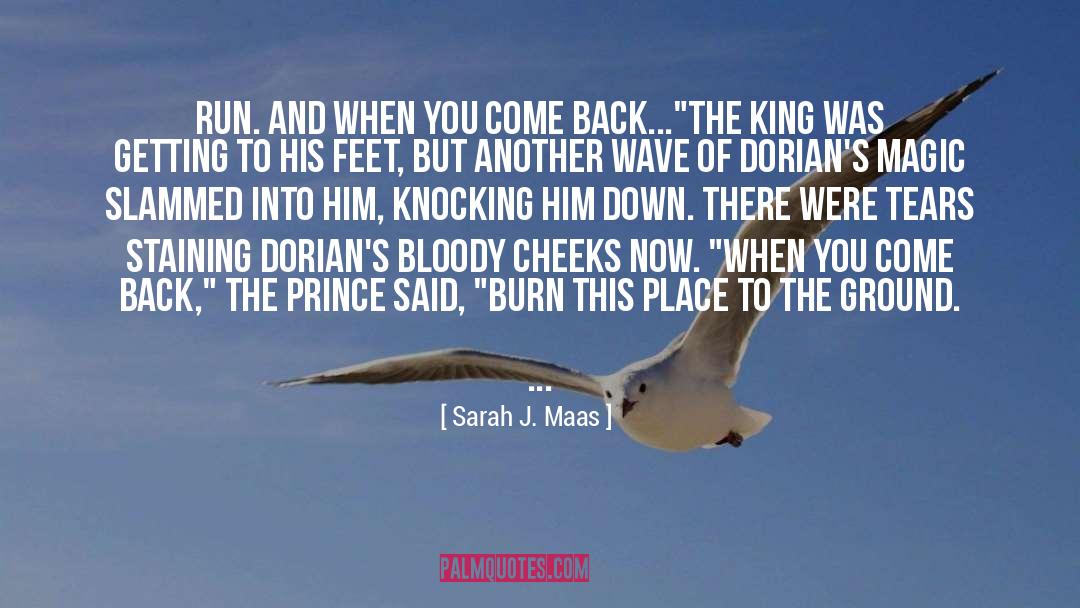 The Wave Of The Future quotes by Sarah J. Maas