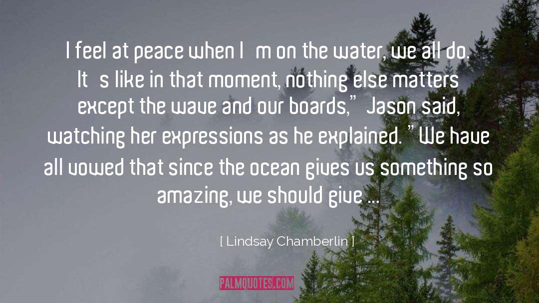 The Wave quotes by Lindsay Chamberlin