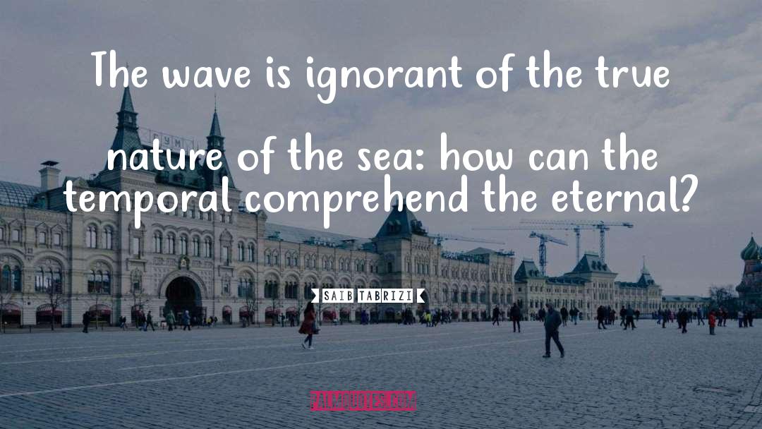 The Wave quotes by Saib Tabrizi