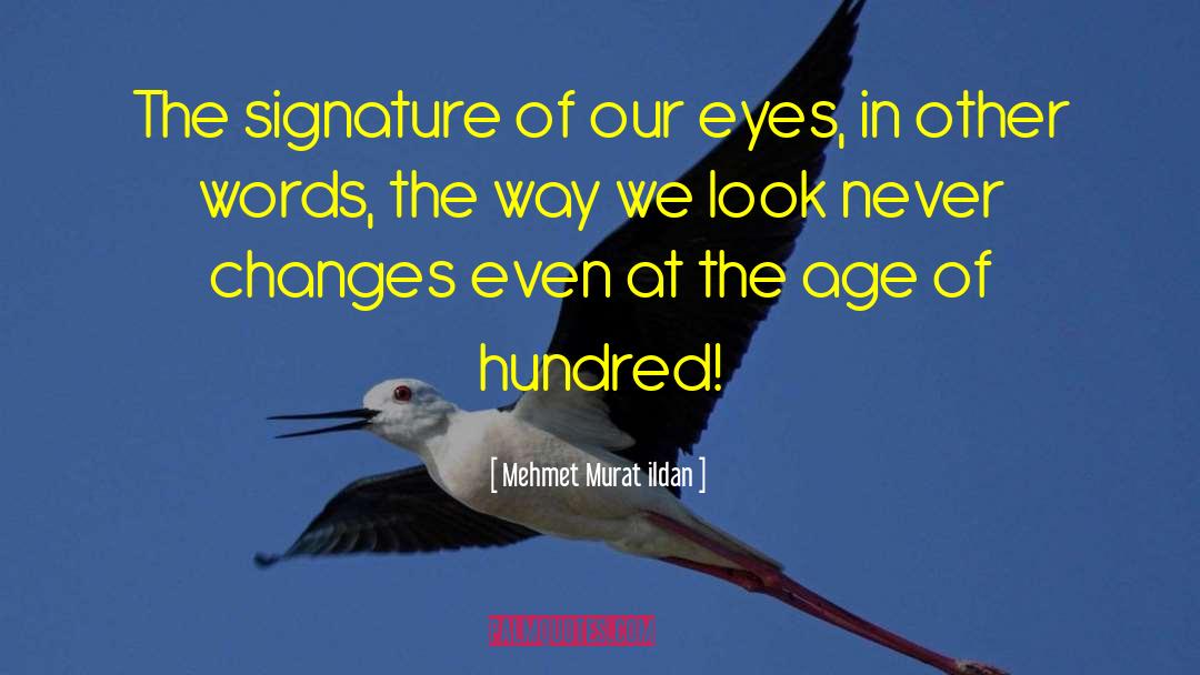The Way We Look quotes by Mehmet Murat Ildan